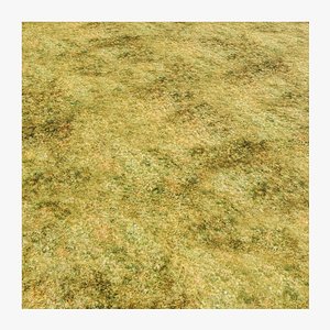 Seamless Wild Grassland PBR Material - 16K