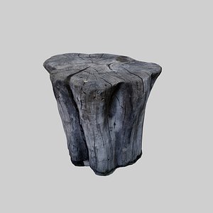 Realistic 3D Tree Trunk  3D model