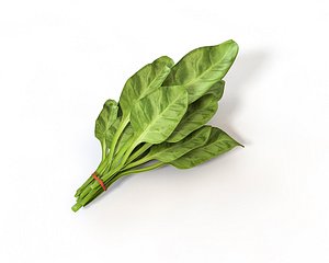 3D model spinach artichoke