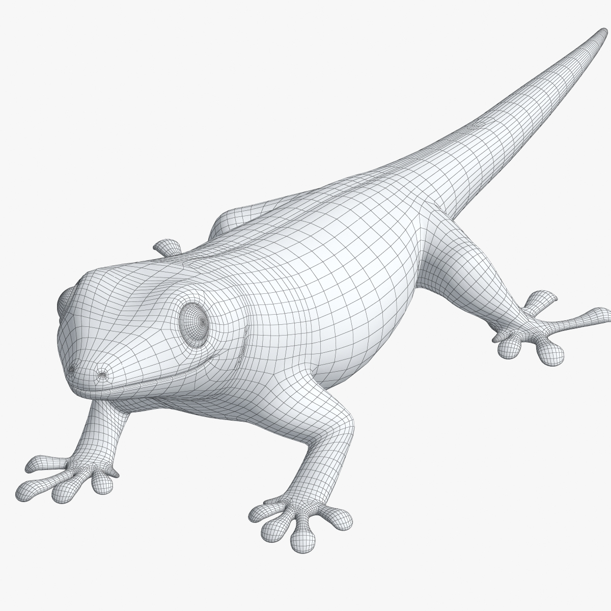 gecko lizard 3d model