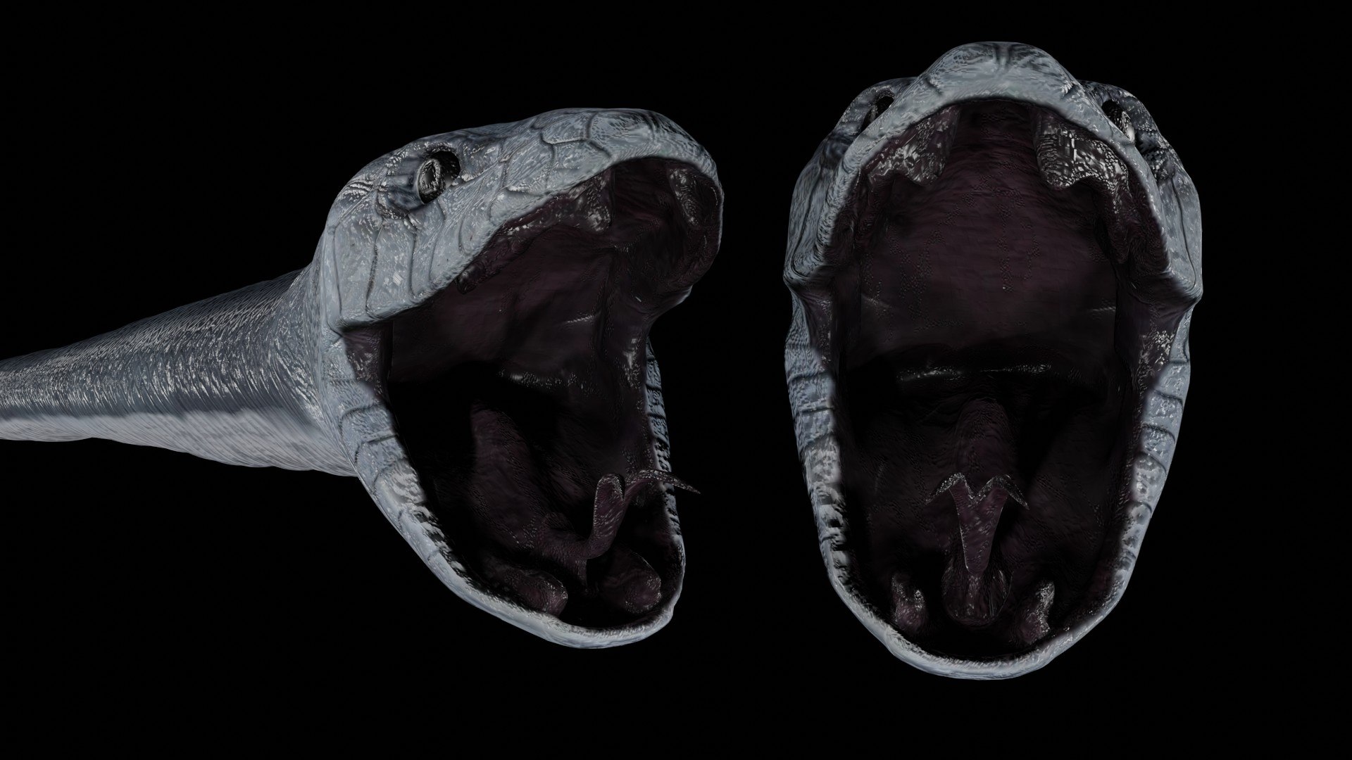 black mamba snake 3D https://p.turbosquid.com/ts-thumb/Bo/Hqnrst/Si/a3/jpg/1609749922/1920x1080/fit_q87/fcddb2af212984b547432d6f1a73bad1a5c95a0c/a3.jpg