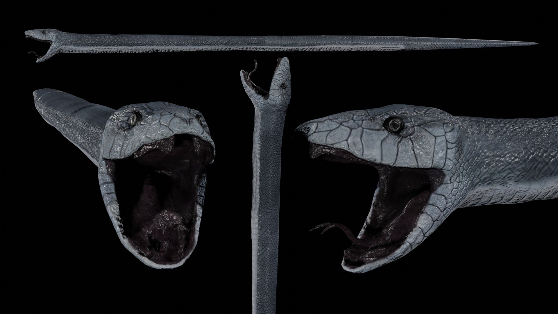 black mamba snake 3D https://p.turbosquid.com/ts-thumb/Bo/Hqnrst/dq/a6/jpg/1609749931/1920x1080/fit_q87/1f4ba51c26cec94867d86cd241990173ddcb0de0/a6.jpg