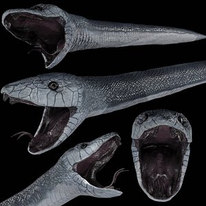 black mamba snake 3D
