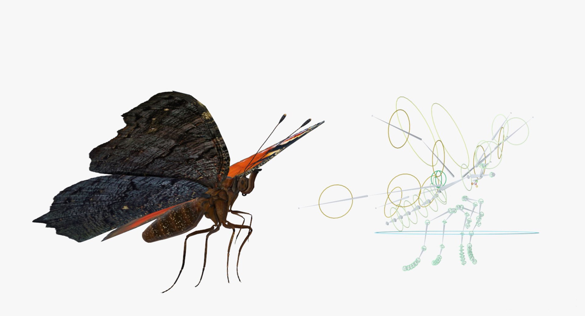 Rigged Flying Insects Collection 4 3D https://p.turbosquid.com/ts-thumb/Bo/KcF3uD/2X/riggedflyinginsectscollection43dmodel045/jpg/1683283474/1920x1080/fit_q87/a584a60105d1661c11072792da3cfcb8b0739982/riggedflyinginsectscollection43dmodel045.jpg