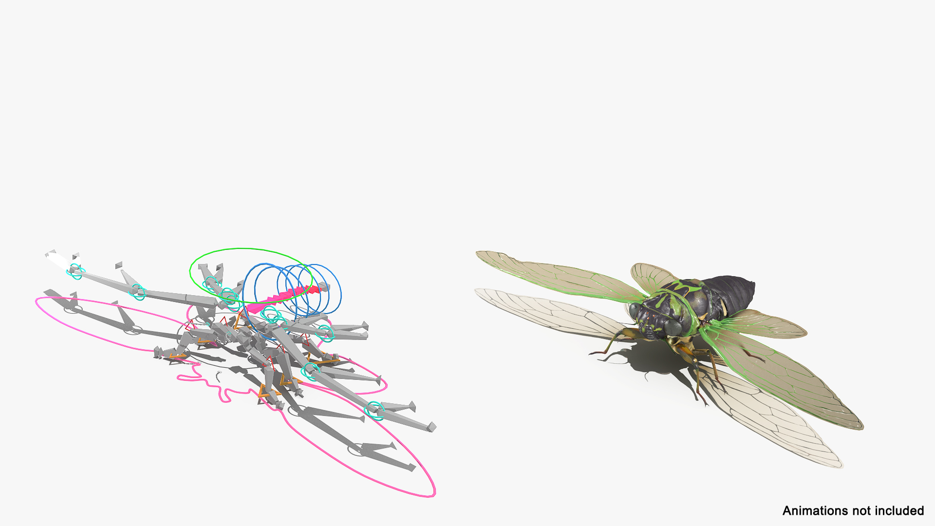 Rigged Flying Insects Collection 4 3D https://p.turbosquid.com/ts-thumb/Bo/KcF3uD/Dx/cicada_rigged_362/jpg/1683282691/1920x1080/turn_fit_q99/0a7a8295a36cc42a29ca4218a8da89a5f321d03c/cicada_rigged_362-1.jpg