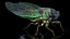 Rigged Flying Insects Collection 4