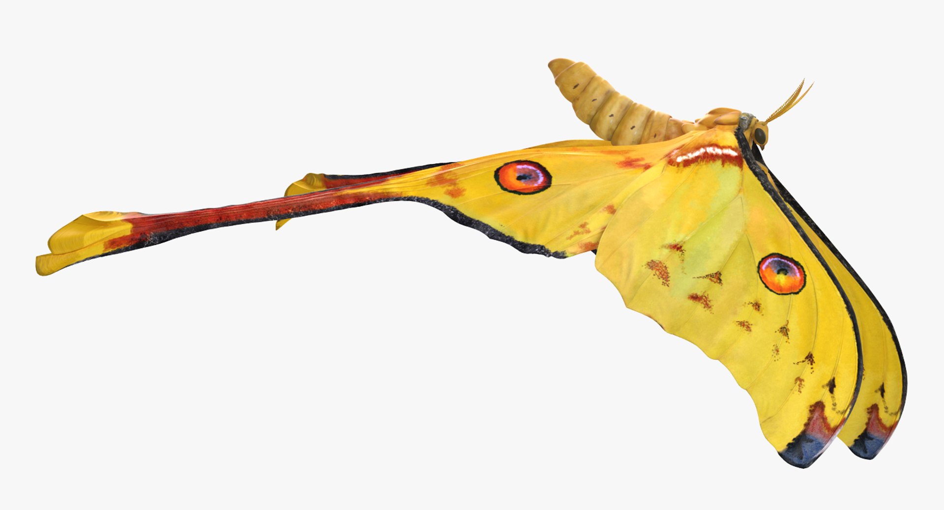 Rigged Flying Insects Collection 4 3D https://p.turbosquid.com/ts-thumb/Bo/KcF3uD/hg/riggedflyinginsectscollection43dmodel091/jpg/1683283632/1920x1080/fit_q87/abb707effcfd5c426b9e68a91085c7fca3eff8e9/riggedflyinginsectscollection43dmodel091.jpg