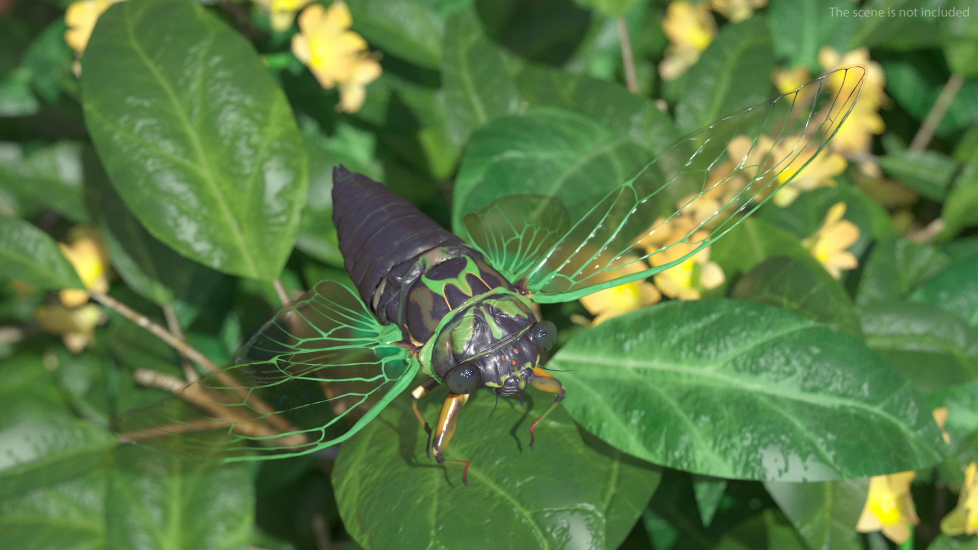 Rigged Flying Insects Collection 4 3D https://p.turbosquid.com/ts-thumb/Bo/KcF3uD/tV/riggedflyinginsectscollection43dmodel007/jpg/1683283354/1920x1080/fit_q87/7d3b78b4748e89f2803266a94bd5e903a09114ed/riggedflyinginsectscollection43dmodel007.jpg