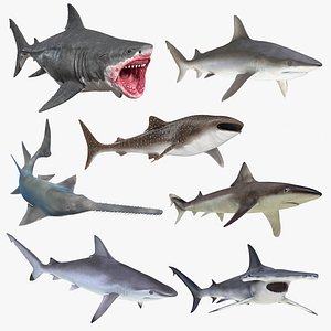 Rigged Sharks Collection 8 for Maya