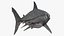 Maya 用 Rigged Sharks コレクション 8