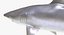 Maya 用 Rigged Sharks コレクション 8