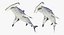 Maya 用 Rigged Sharks コレクション 8
