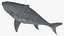 Maya 用 Rigged Sharks コレクション 8