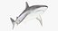Maya 用 Rigged Sharks コレクション 8