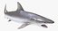 Maya 用 Rigged Sharks コレクション 8