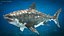 Maya 用 Rigged Sharks コレクション 8