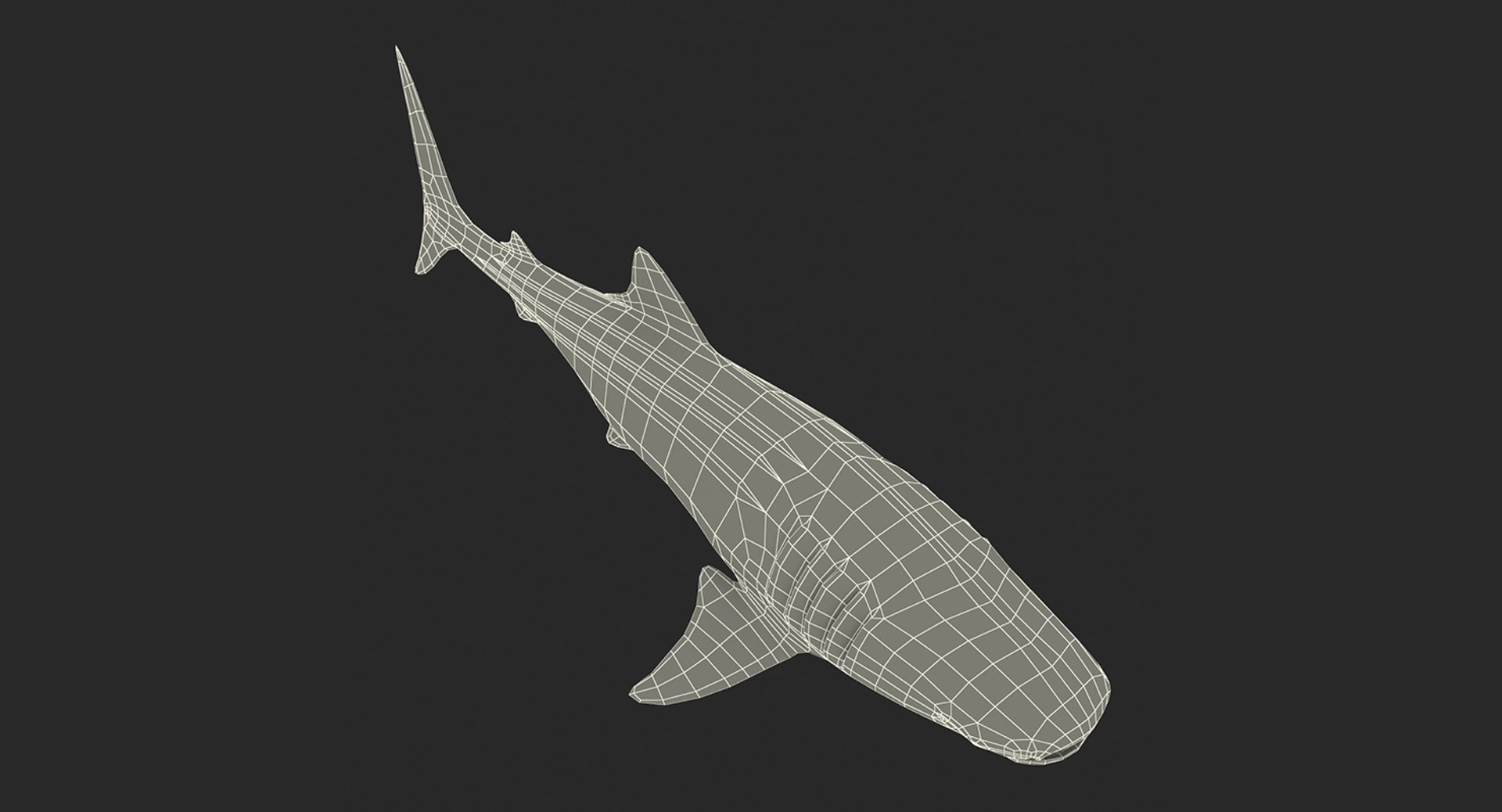 Rigged Sharks Collection 8 for Maya 3D model https://p.turbosquid.com/ts-thumb/Bo/Q9Wv5Y/Lt/riggedsharkscollection83dmodel069/jpg/1629665635/1920x1080/fit_q87/125d9ee6b5e037e02a11ba354cd6894801cc1efe/riggedsharkscollection83dmodel069.jpg