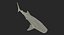 Maya 用 Rigged Sharks コレクション 8