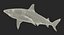Maya 用 Rigged Sharks コレクション 8