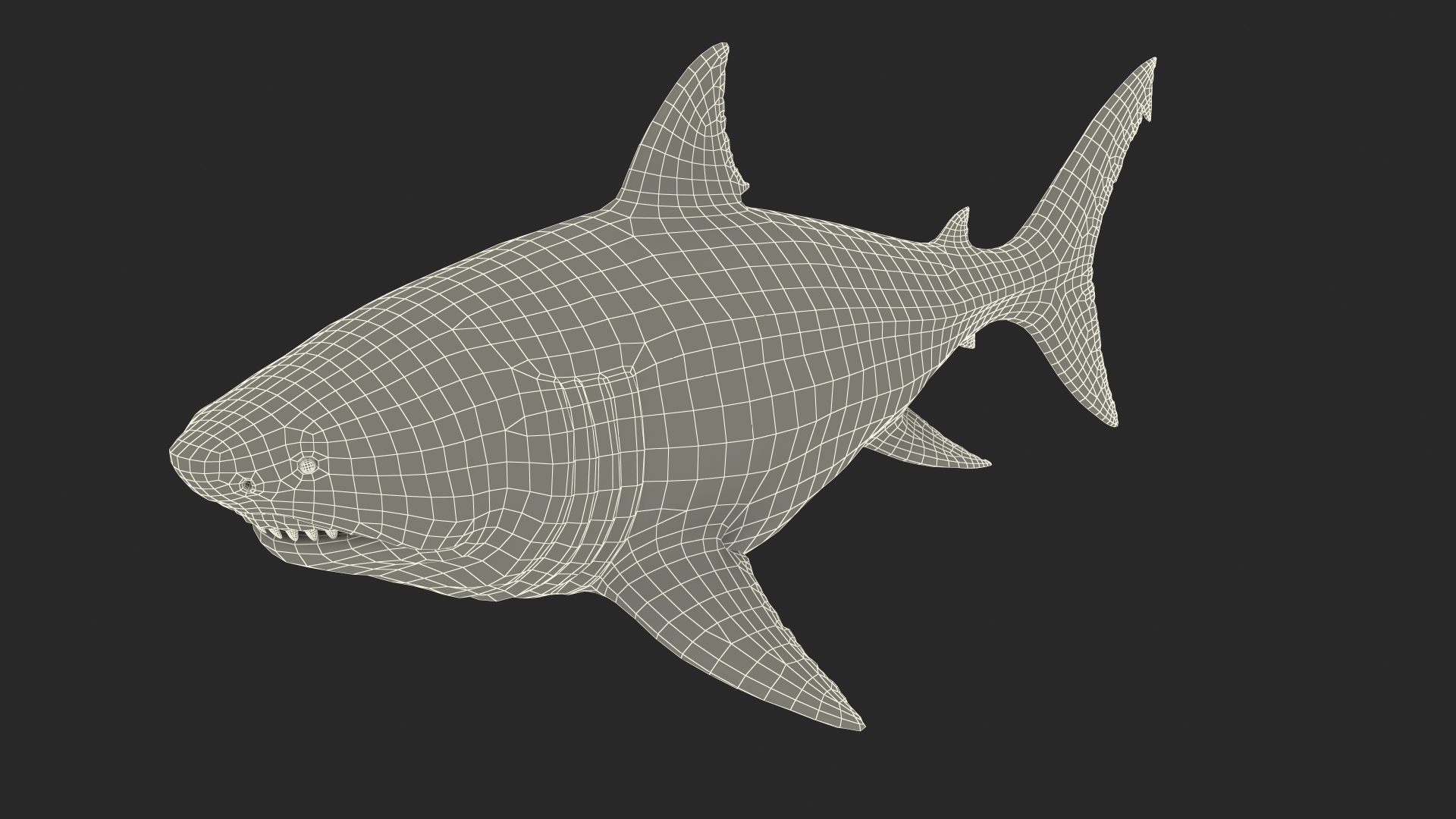Rigged Sharks Collection 8 for Maya 3D model https://p.turbosquid.com/ts-thumb/Bo/Q9Wv5Y/Yf/megalodon_rigged_361/jpg/1629667311/1920x1080/turn_fit_q99/5ef1bcfcb7dda39816bc24bf572229192ef3c079/megalodon_rigged_361-1.jpg