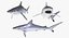 Maya 用 Rigged Sharks コレクション 8