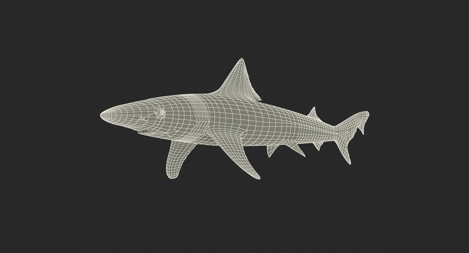 Rigged Sharks Collection 8 for Maya 3D model https://p.turbosquid.com/ts-thumb/Bo/Q9Wv5Y/k1/riggedsharkscollection83dmodel070/jpg/1629665638/1920x1080/fit_q87/33dc57ee6649c52808f953dac3f159da82608a4c/riggedsharkscollection83dmodel070.jpg