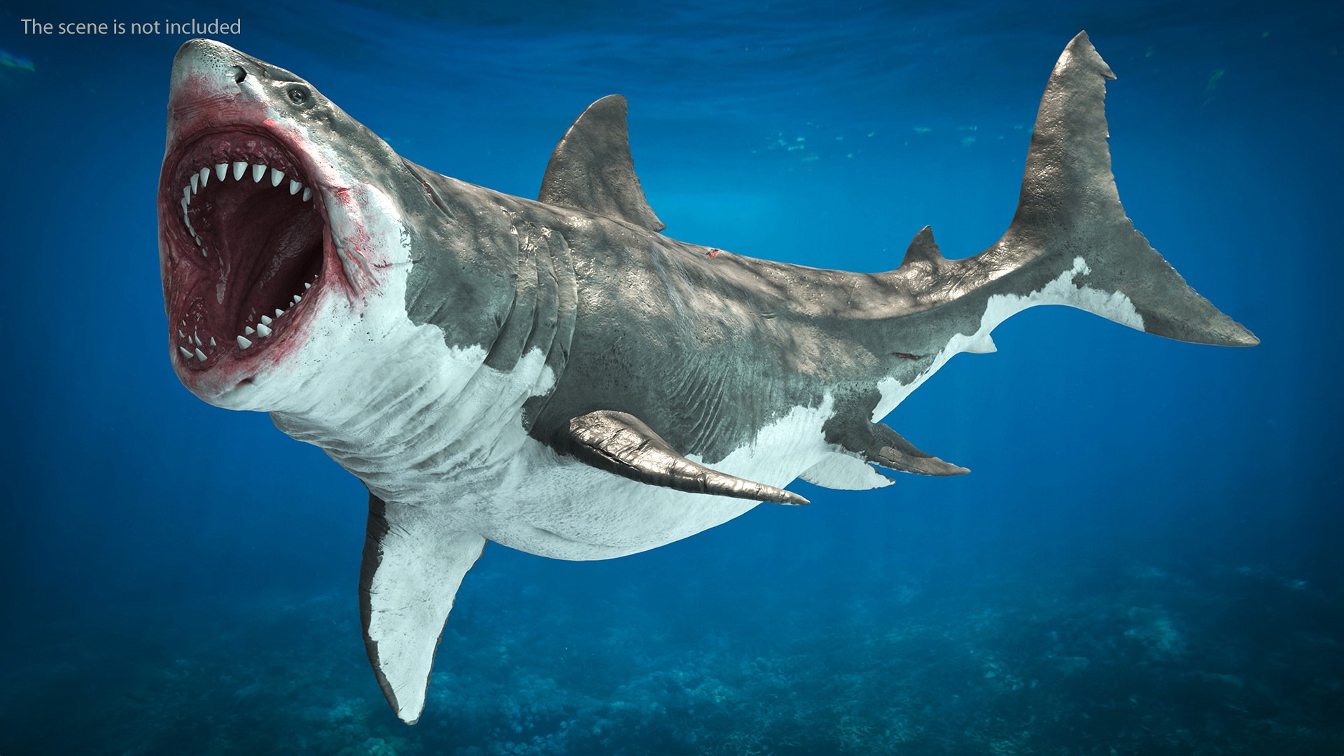 Rigged Sharks Collection 8 for Maya 3D model https://p.turbosquid.com/ts-thumb/Bo/Q9Wv5Y/mt/riggedsharkscollection83dmodel007/jpg/1629665490/1920x1080/fit_q87/cb289788cfab70cbddec3c7322c64222defe79d9/riggedsharkscollection83dmodel007.jpg