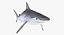 Maya 用 Rigged Sharks コレクション 8