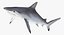 Maya 用 Rigged Sharks コレクション 8