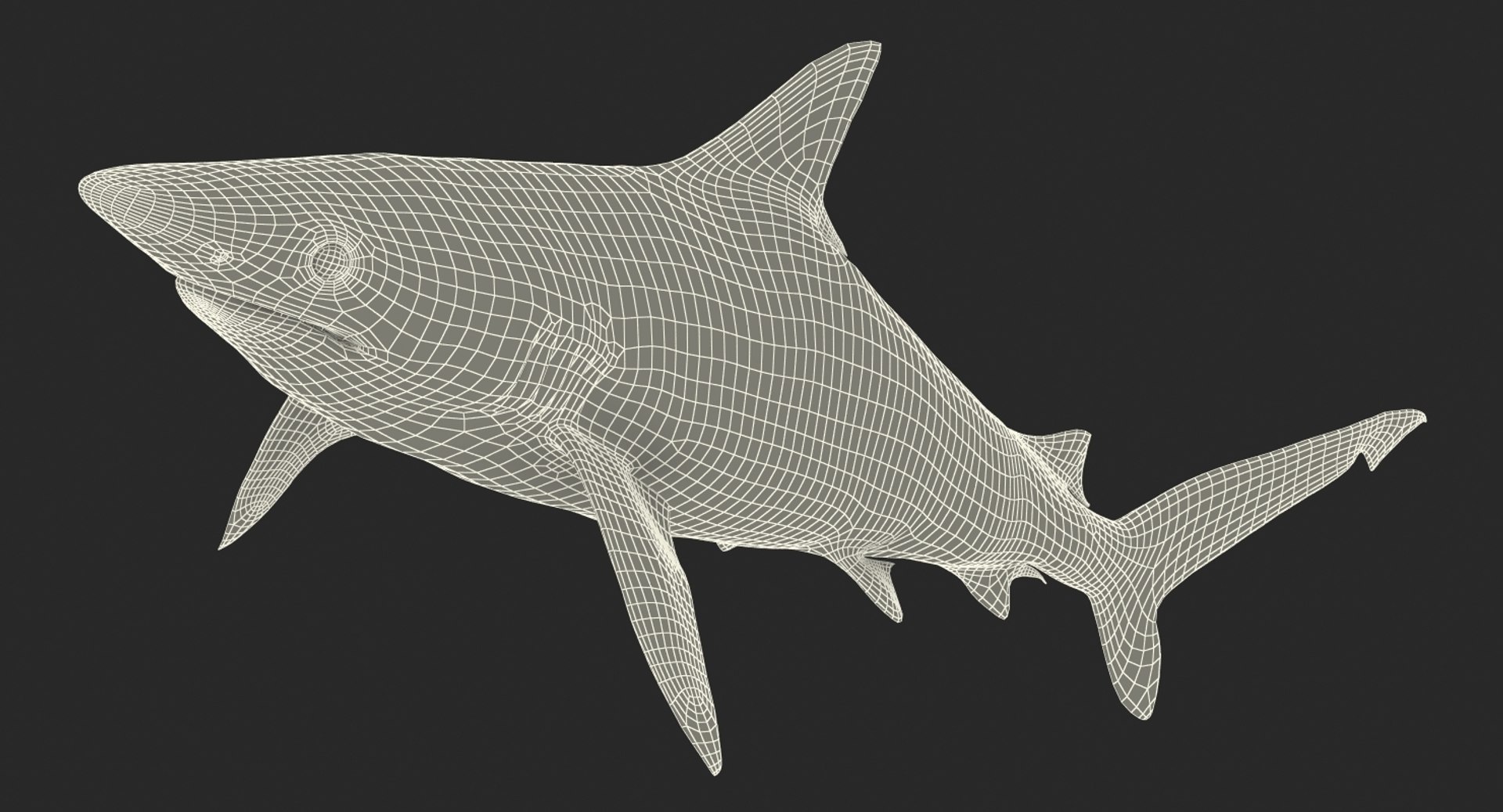 Rigged Sharks Collection 8 for Maya 3D model https://p.turbosquid.com/ts-thumb/Bo/Q9Wv5Y/yx/riggedsharkscollection83dmodel066/jpg/1629665629/1920x1080/fit_q87/724bd184cb75b3f4d8b99fa0d9ea6383bb9e7252/riggedsharkscollection83dmodel066.jpg