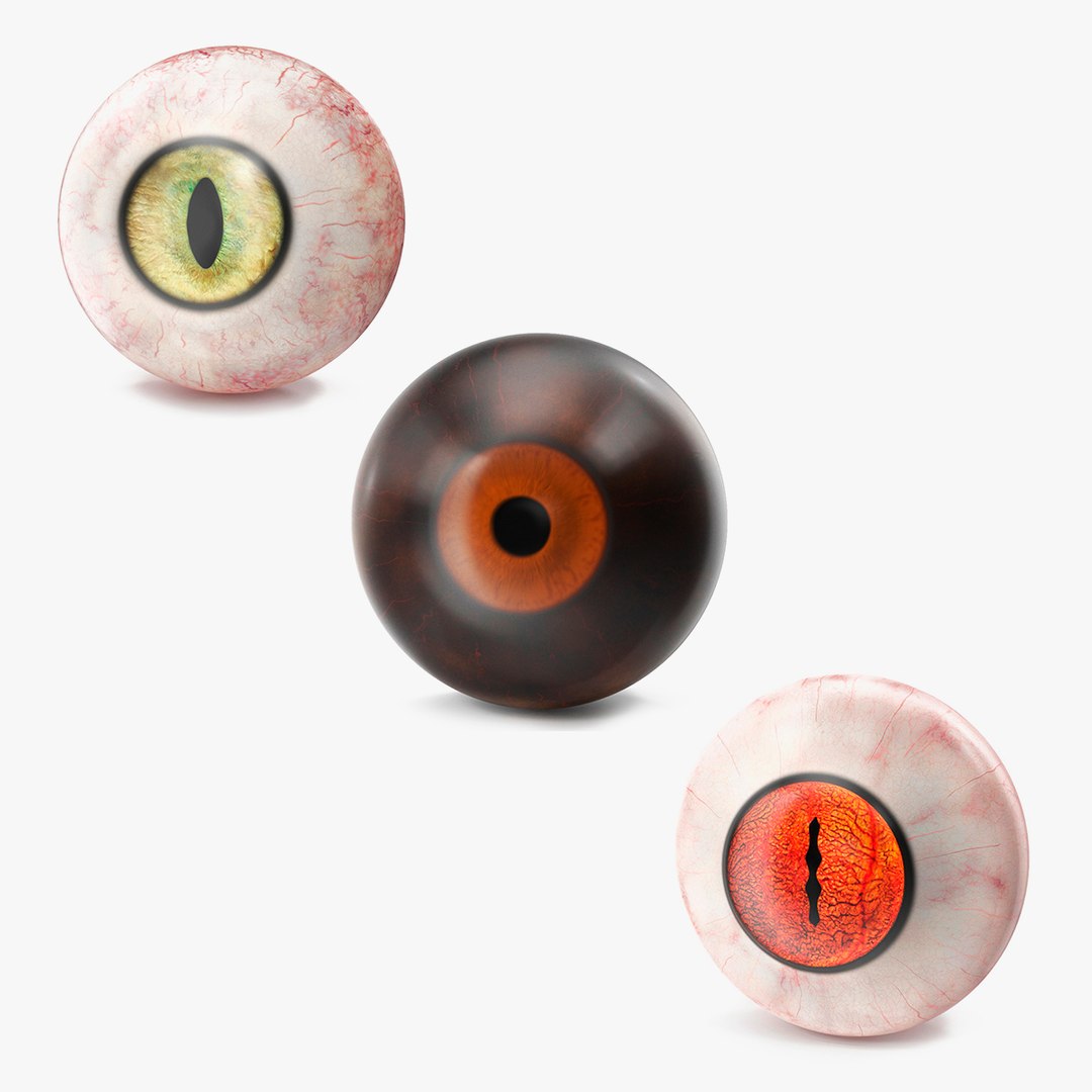 Realistic Animal Eyes Collection 3 3D model preview