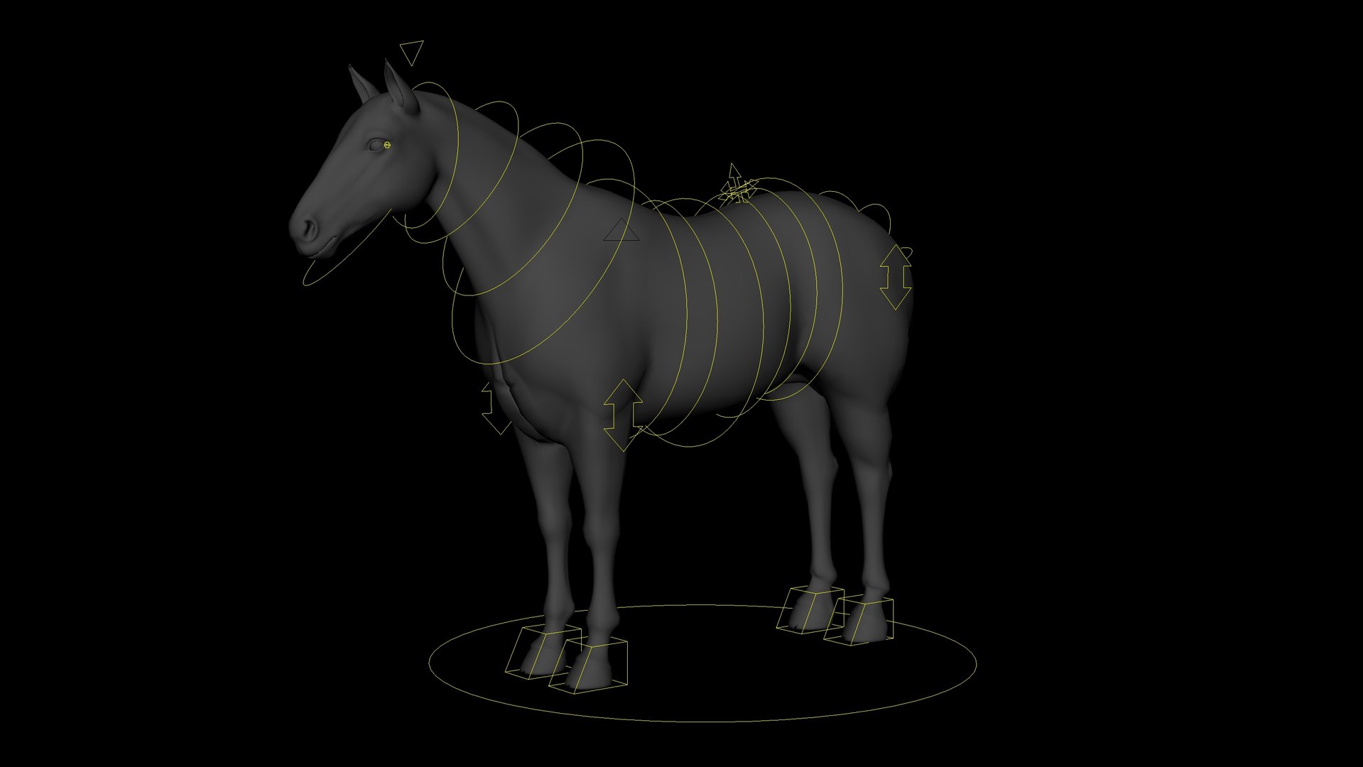 Horse White RIG XGEN 3D Model - TurboSquid 2164146
