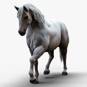 Horse White RIG XGEN 3D model