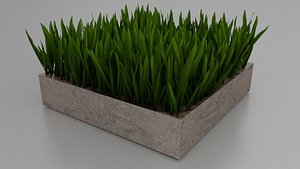 3D grass plant model