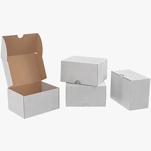 Cardboard Box 06 Rigged