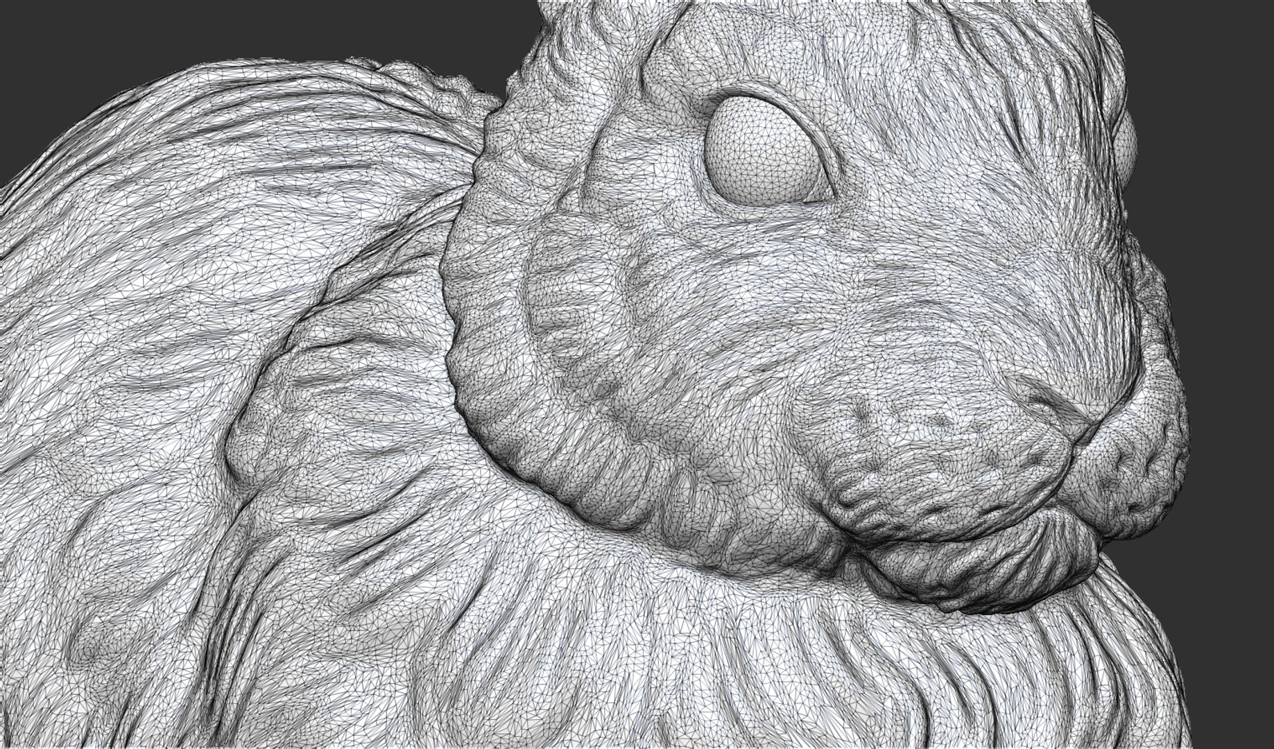 Rabbit Model - TurboSquid 1956305