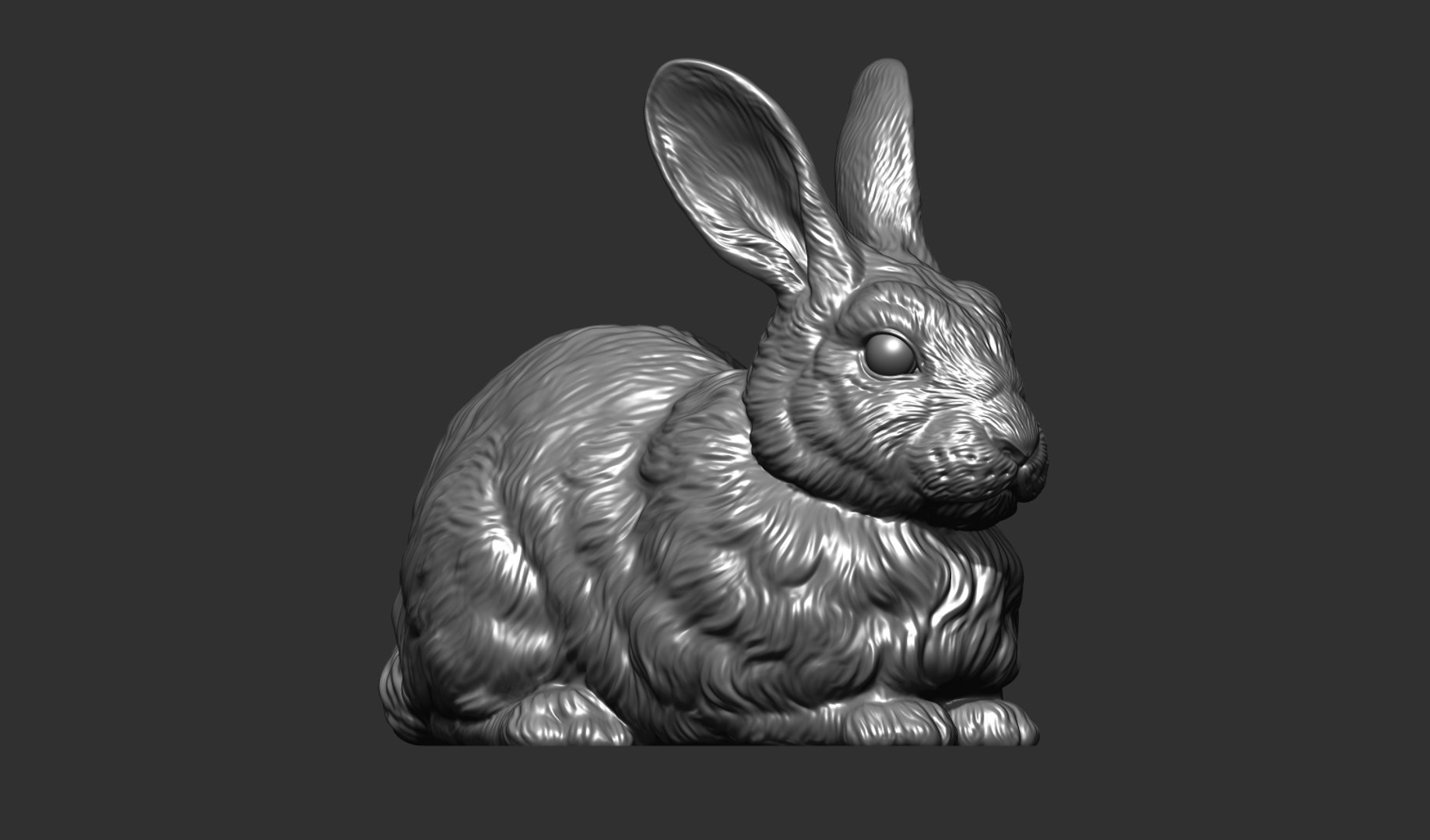 Rabbit Model - TurboSquid 1956305