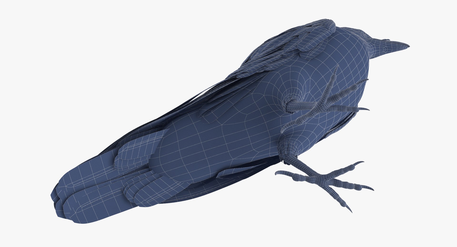 crow 01 3d model