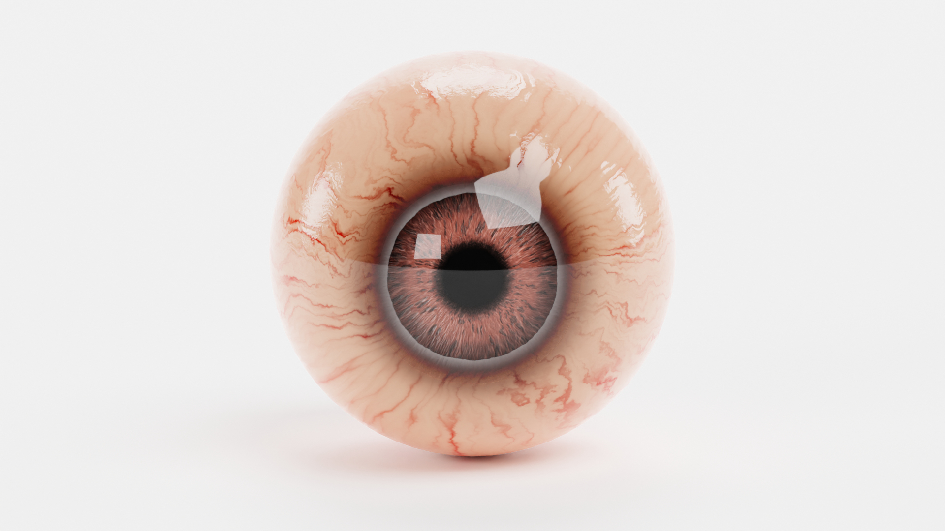 animal eyeball rhinoceros 3D model https://p.turbosquid.com/ts-thumb/Bp/TS3VlS/8anzmkay/0001/png/1600869296/1920x1080/turn_fit_q99/db28108ac9f17e4010aaec2220e8aaa8eb89ac65/0001-1.jpg
