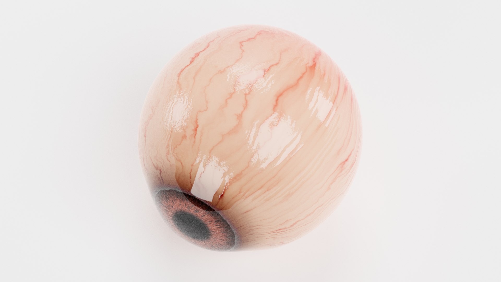 animal eyeball rhinoceros 3D model https://p.turbosquid.com/ts-thumb/Bp/TS3VlS/O2bjVeM2/animaleyeg/png/1600869116/1920x1080/fit_q87/7bad02a452b3b64d50133d39f1b66a3fbf42a891/animaleyeg.jpg