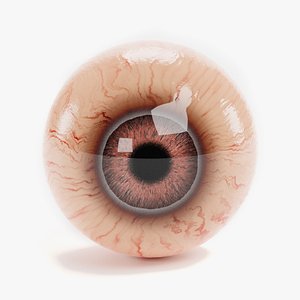 animal eyeball rhinoceros 3D model