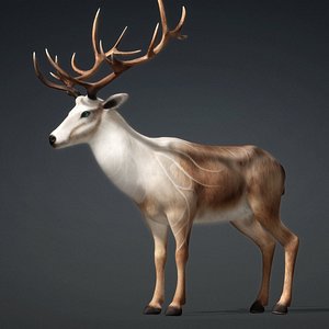 3D Deer-E1