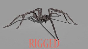 3D OBJ spider model bug