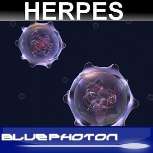 herpes virus max