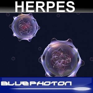 Herpes Virus