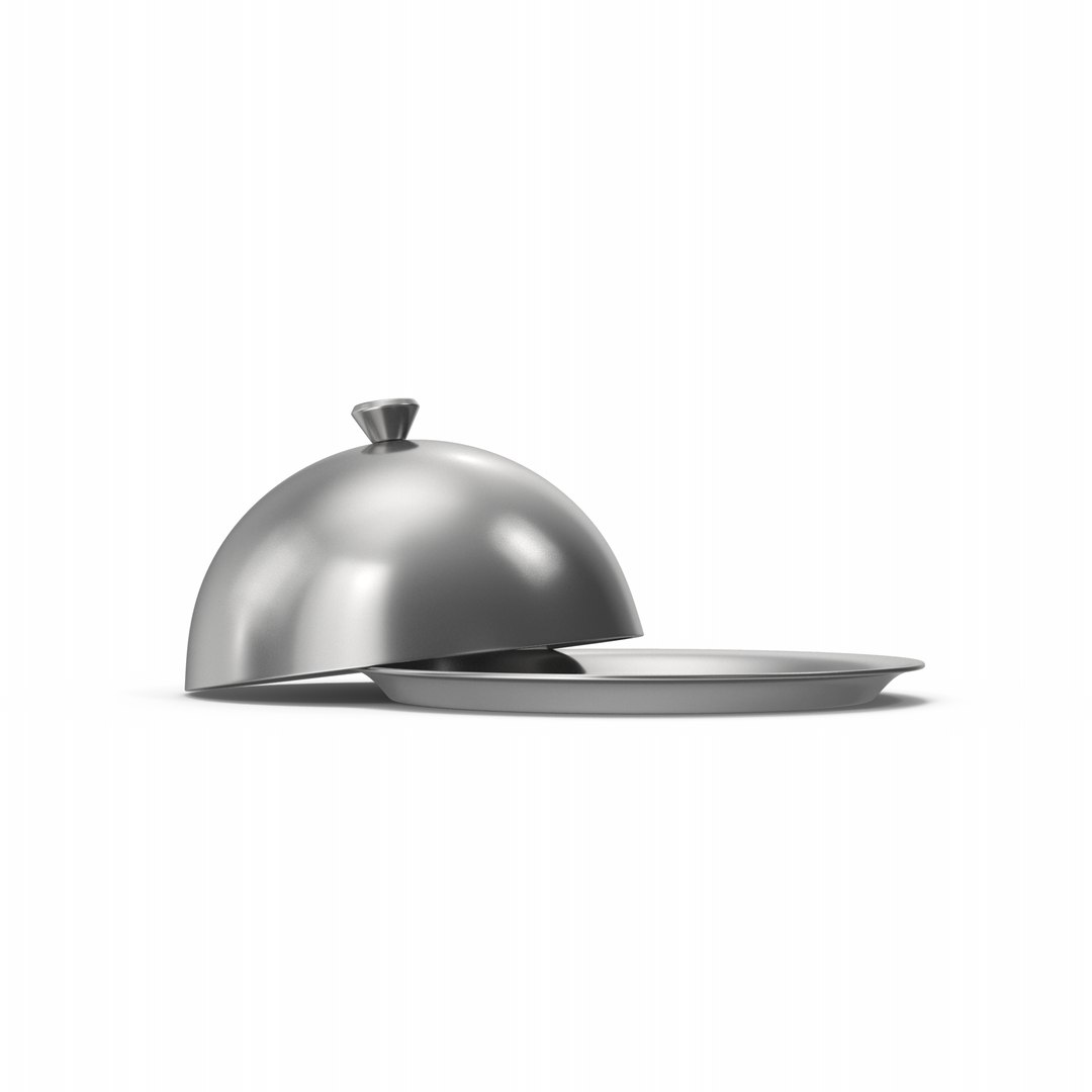 Steel Serving Tray Dome 3D model https://p.turbosquid.com/ts-thumb/Bp/hd2Y8W/wB/steelservingtraydome.i14.2k/png/1703314782/1920x1080/fit_q87/6af75469e8b2c707cbb14774f9294b931bb03d21/steelservingtraydome.i14.2k.jpg