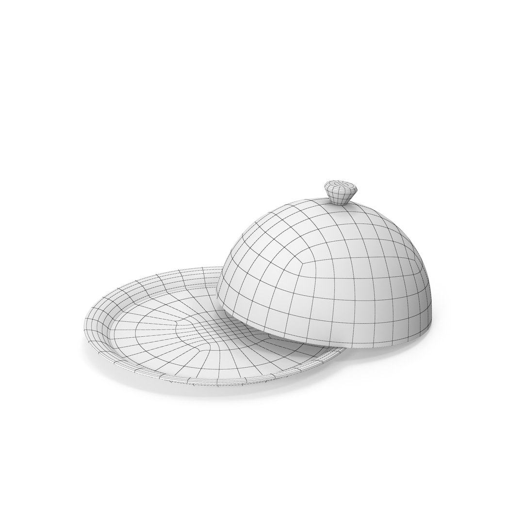 Steel Serving Tray Dome 3D model https://p.turbosquid.com/ts-thumb/Bp/hd2Y8W/xy/21231231/jpg/1703321585/1920x1080/fit_q87/a34f036fe8bbedc1245c892a1c172604aec77f40/21231231.jpg