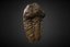 fossilized trilobyte 3d model