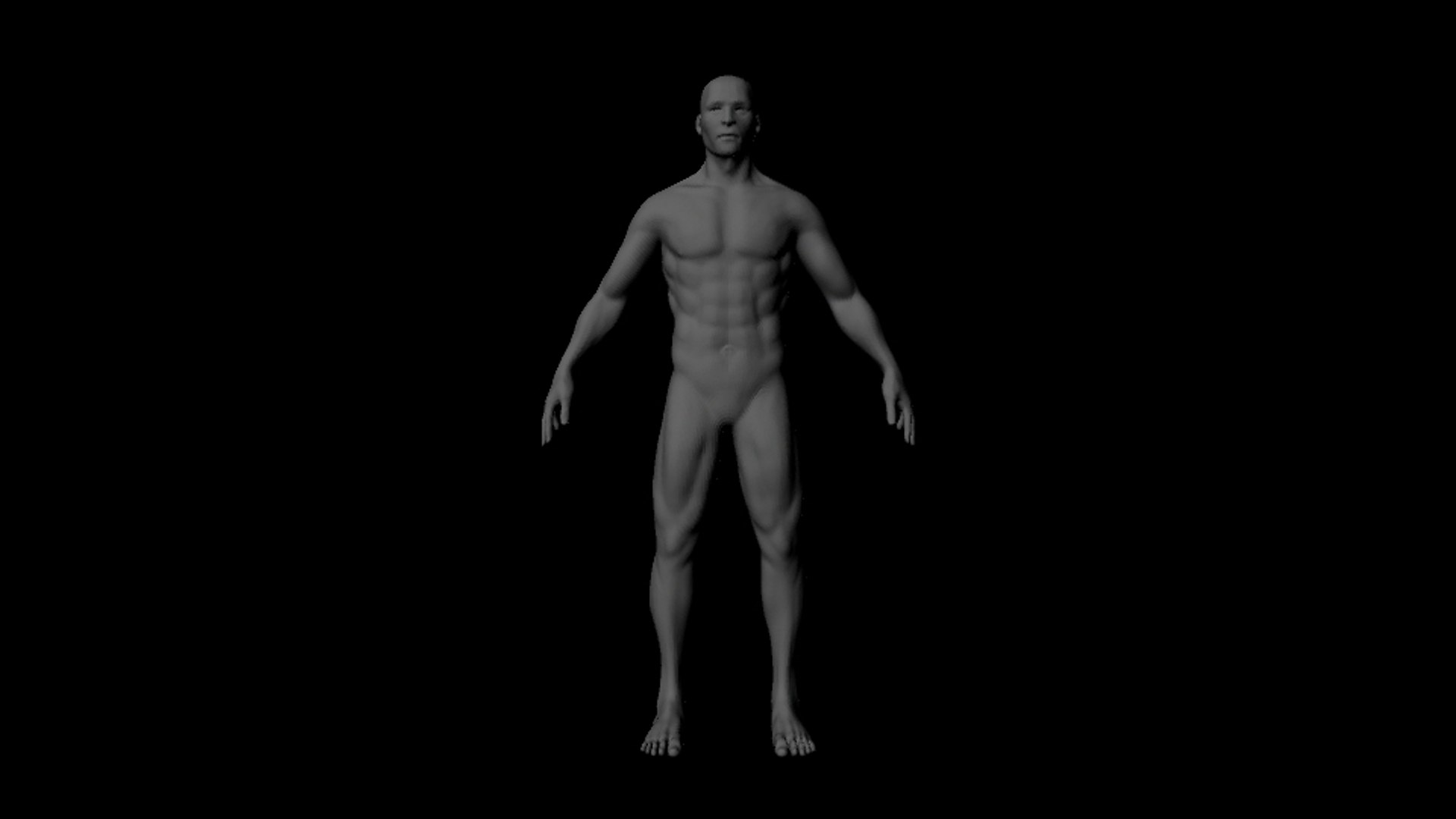 3d Details Human Body Model