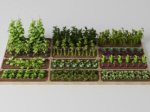 3D Modular Vegetable Garden Plots Agricultural Crops